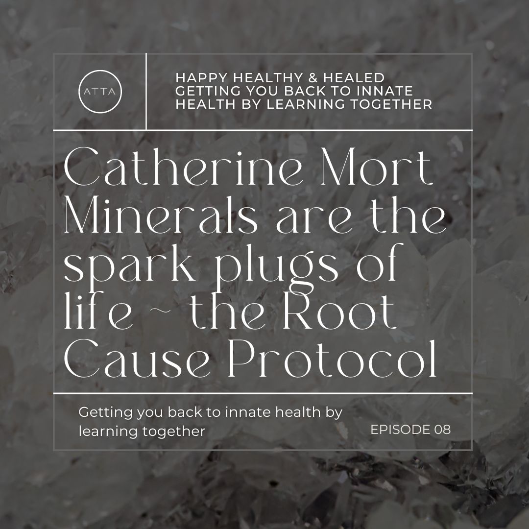 episode 8 - minerals are the sparks plugs of life - part 1 of a dive into the Root Cause Protocol