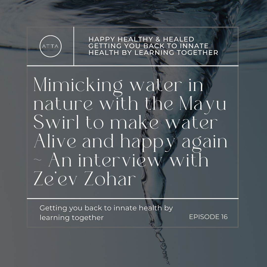 EPISODE 16 ~ Ze'ev Zohar