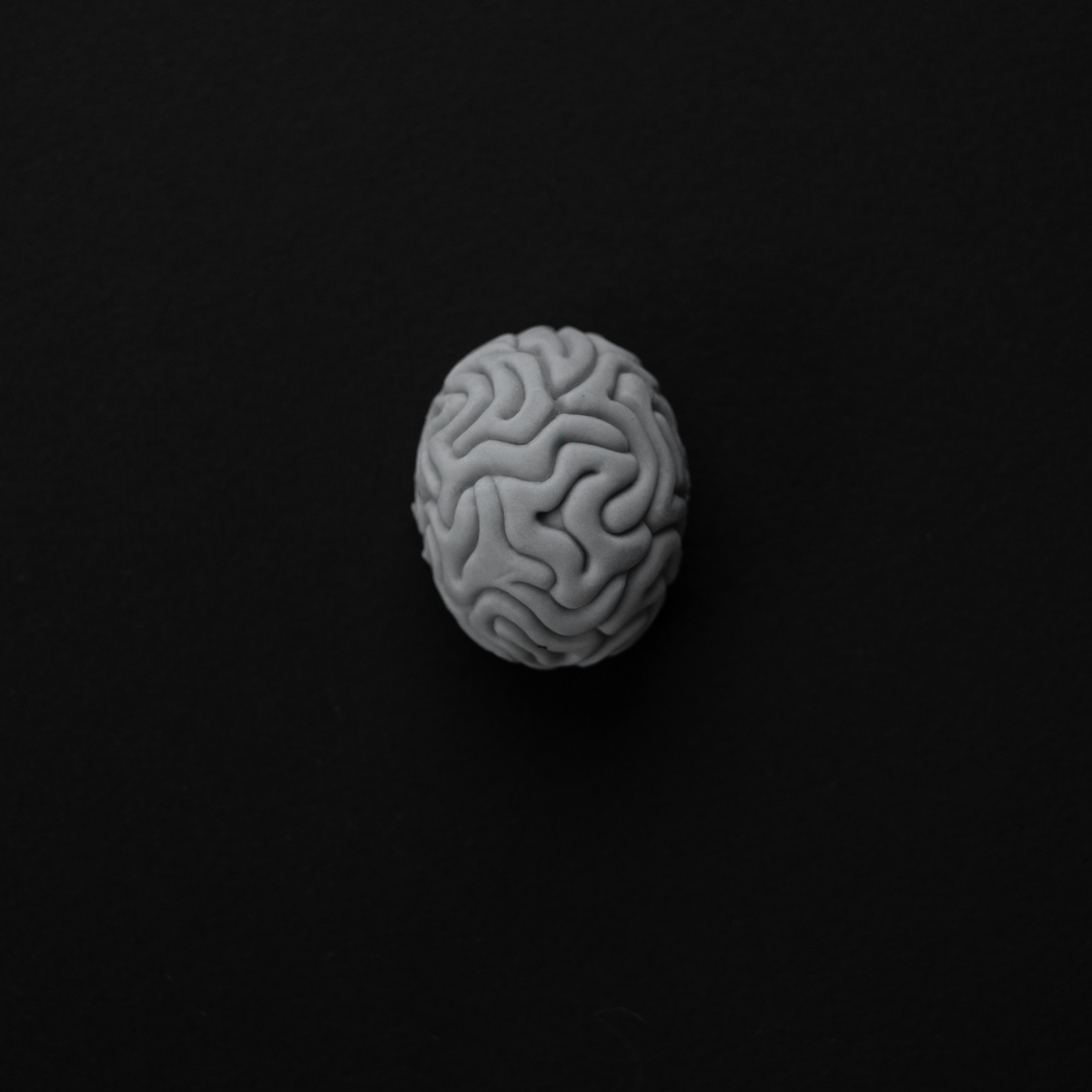 ANALEMMA BRAINWAVE STUDY