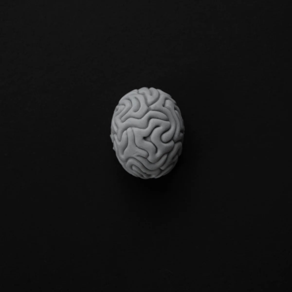ANALEMMA BRAINWAVE STUDY
