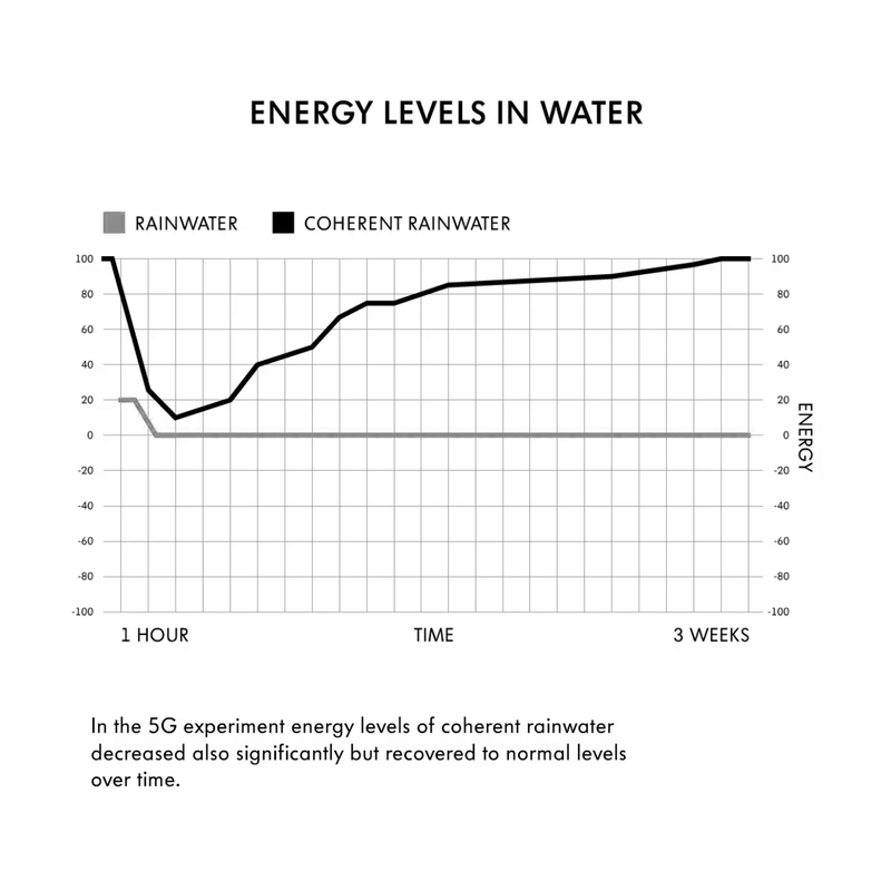 5G & PLANT RESEARCH: ANALEMMA IMPACT ON PLANTS