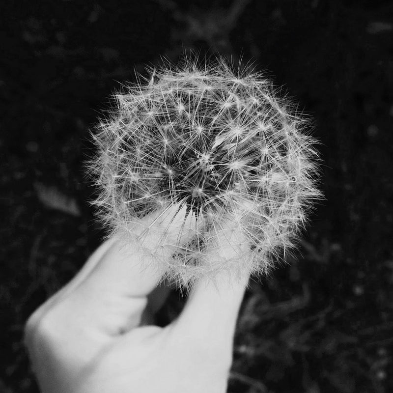 allergies - when did it all begin?