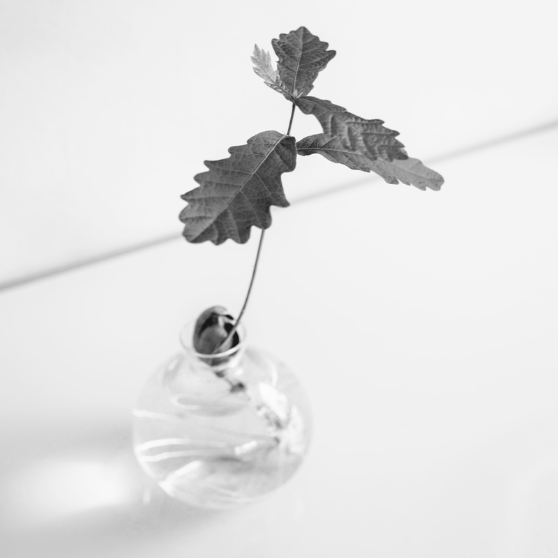 WATER, HEALTH AND OUR FUTURE WITH DOLF ZANTINGE, CREATOR OF ANALEMMA