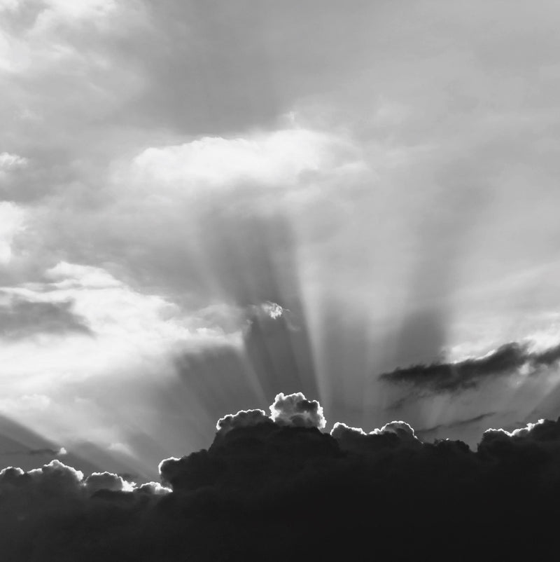 ATTA x JACKIE JOLIE - SUNLIGHT, SUNGAZING AND YOUR CIRCADIAN RHYTHM