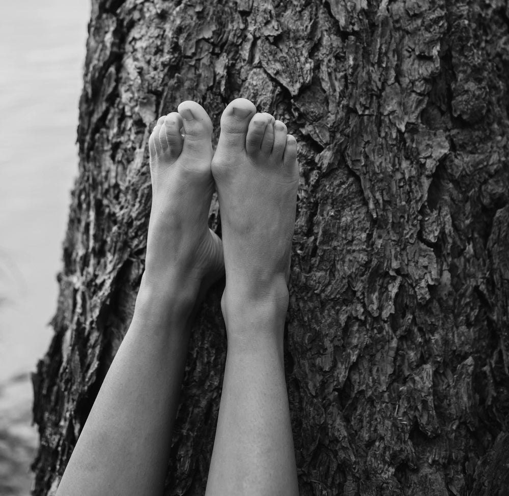 The Power of Grounding - Connecting with Earth for Health & Wellbeing