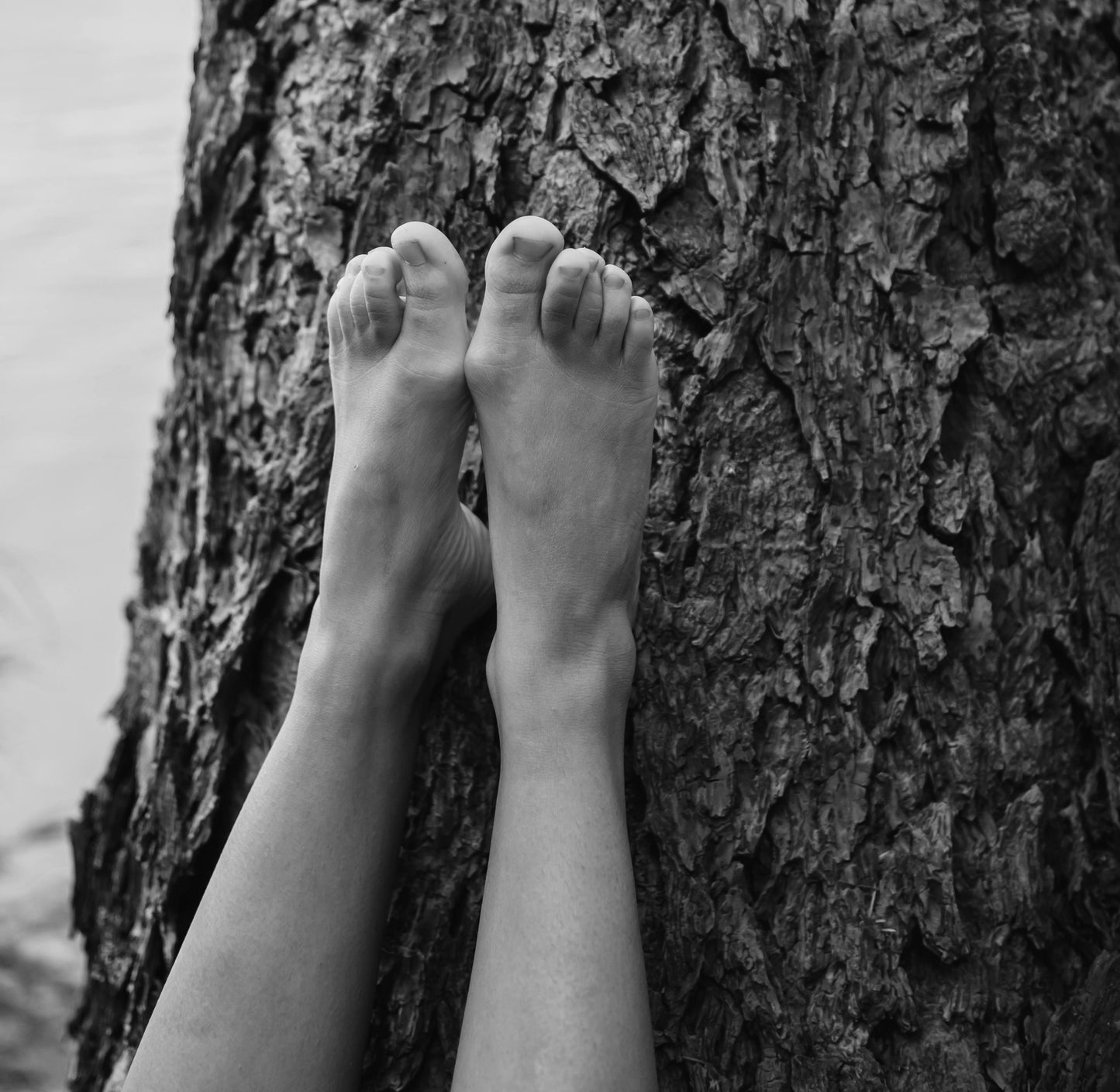 The Power of Grounding - Connecting with Earth for Health & Wellbeing