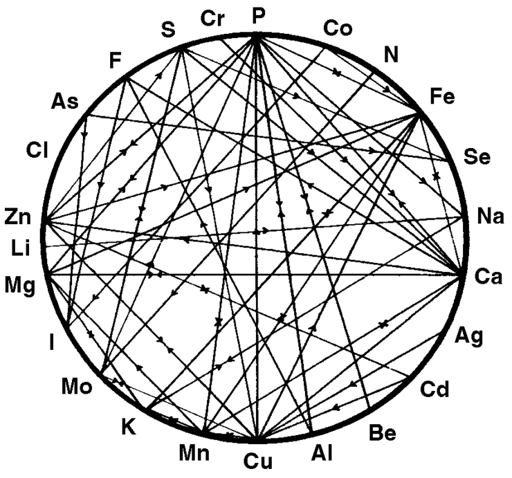 The ocean contains the homeostatic blueprint of life