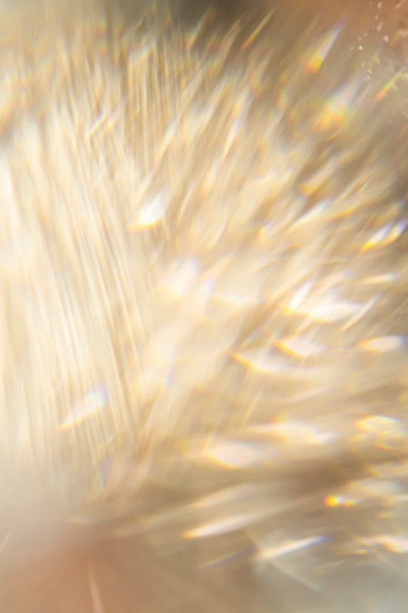 Unlocking the Body’s Intelligence Through Bioresonance