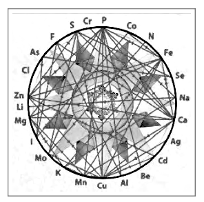 Spot light on Ibiza Marine Plasma—Nature’s Ultimate Hypertonic Elixir