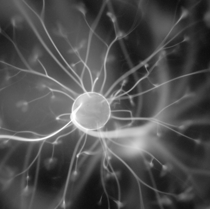 Unlocking the Body’s Intelligence Through Bioresonance