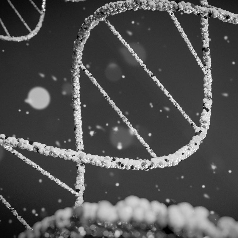 The Analemma - Effects on ATP levels in humans - new study (2022)