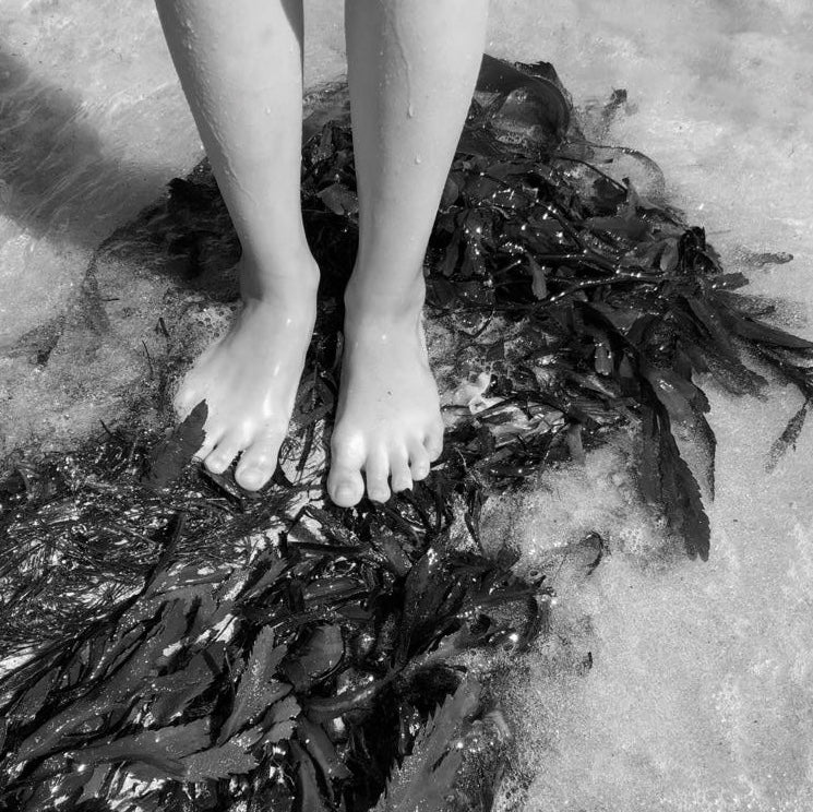 Aalgo -  Why organic seaweed is so good for your skin