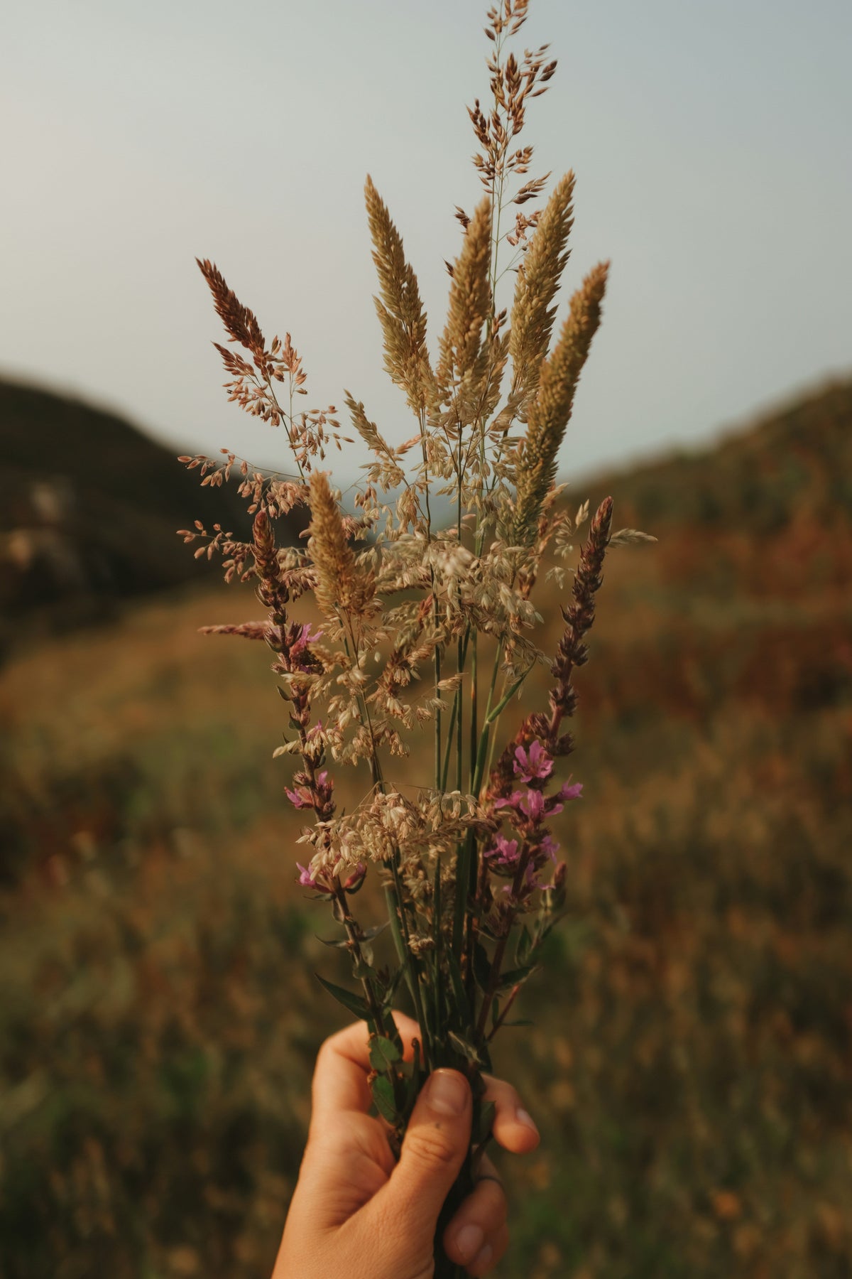 may 1st beltane a celebration of all the earths blessings